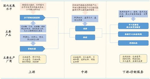 體外診斷3.0時代 分子診斷百花齊放，基礎軟件是決勝先機