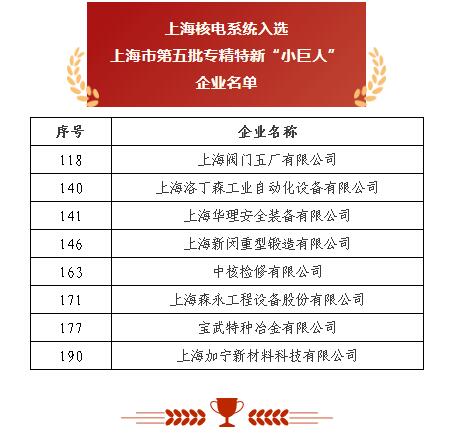 上海閥門五廠 以突破性閥門基礎軟件躋身“小巨人”，砥礪前行無畏創新華章